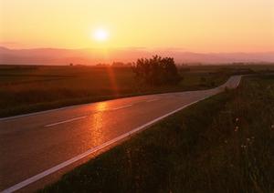 九州最大級の軽自動車専門店ケイカフェ｜多彩な在庫と安心のサービスをご提供