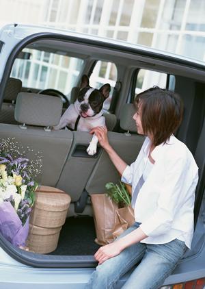 車検即日のところは安全性はどうか確認