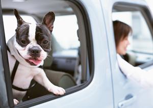 カーコーティング施工実績が豊富な専門店